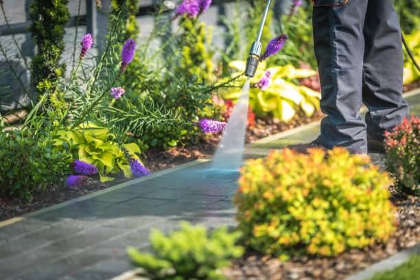 Best Soft Washing for Delicate Surfaces in Los Molinos, CA